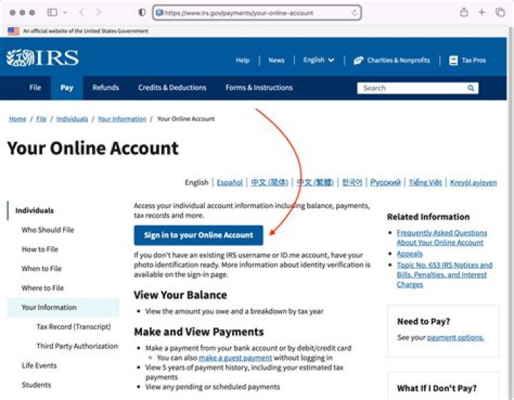What is a customer file number on the IRS website?
