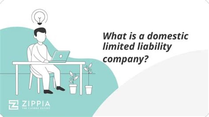 What is a domestic limited LLC?