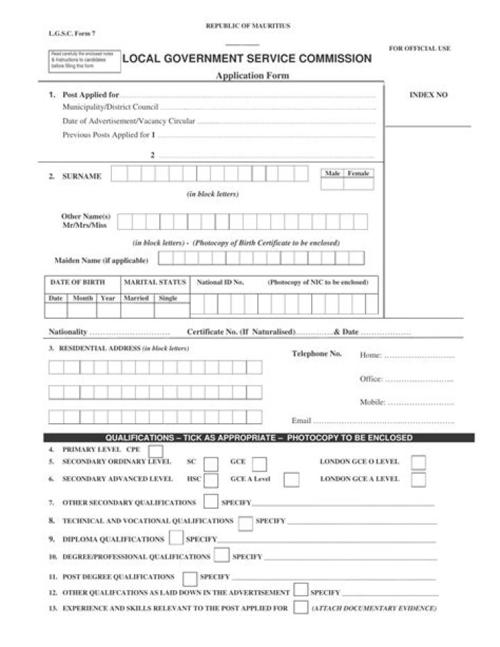 What is a fee basis local government official?