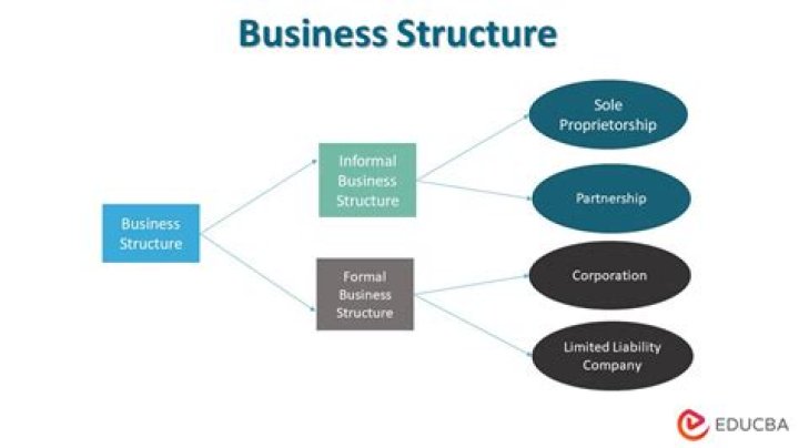 What is a large business classification?
