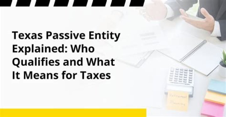 What is a passive entity in Texas?