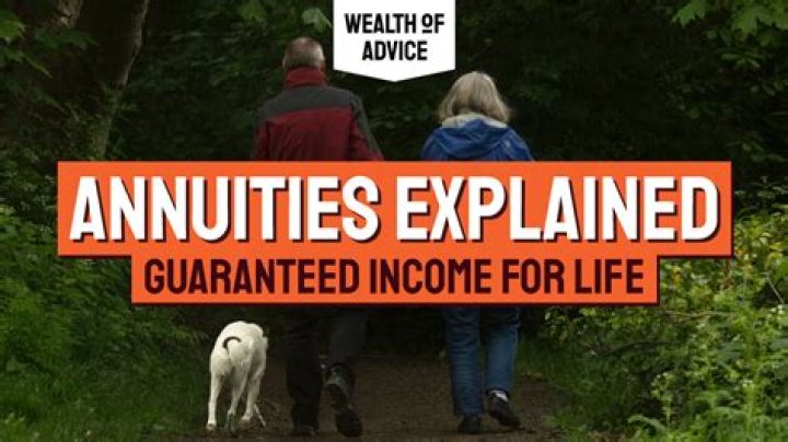 What is a pension annuity?