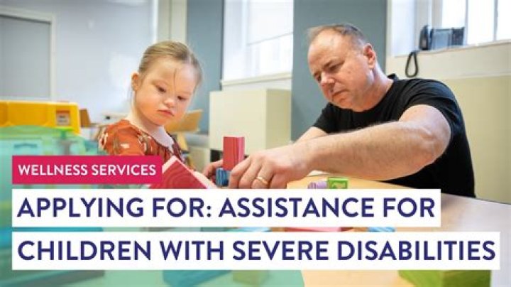 What is a personal assistant for disabled person?