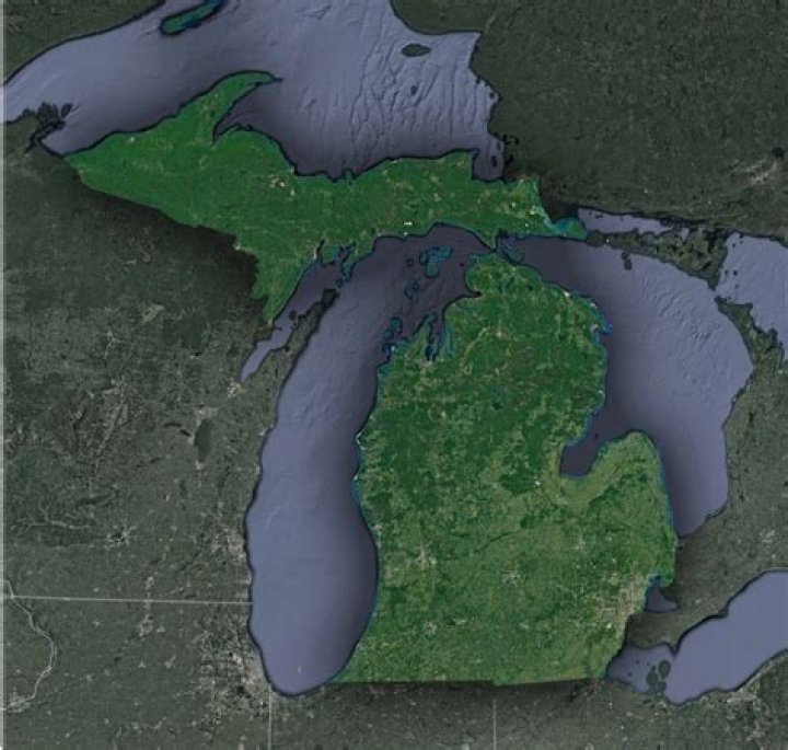 What is a resident of the state of Michigan?