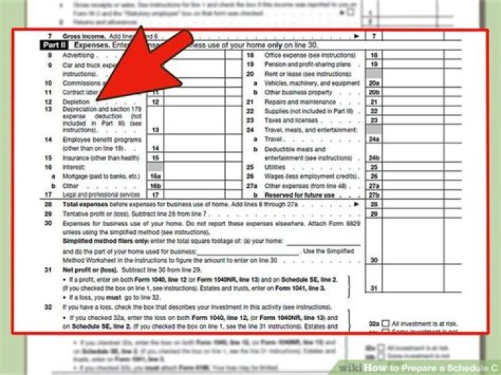 What is a Schedule C line 31?