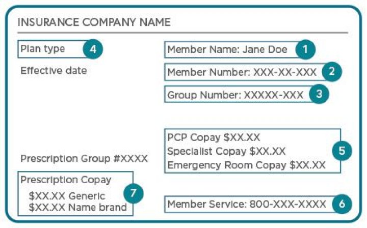 What is a small group employer?