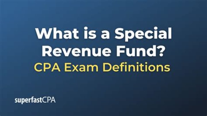 What is a special revenue fund?