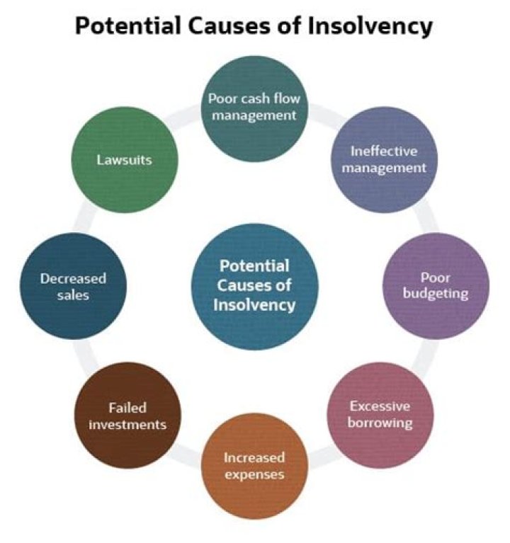 What is a statement of insolvency?