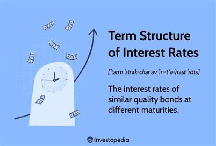 What is a term structure of interest rates?