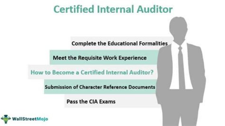 What is CIA Certified Internal Auditor?