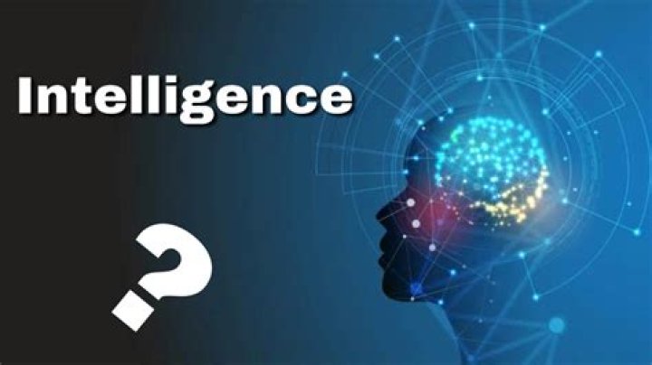 What is concept of intelligence?