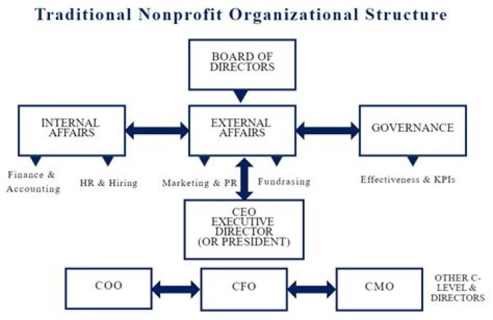 What is contribution in non profit organization?