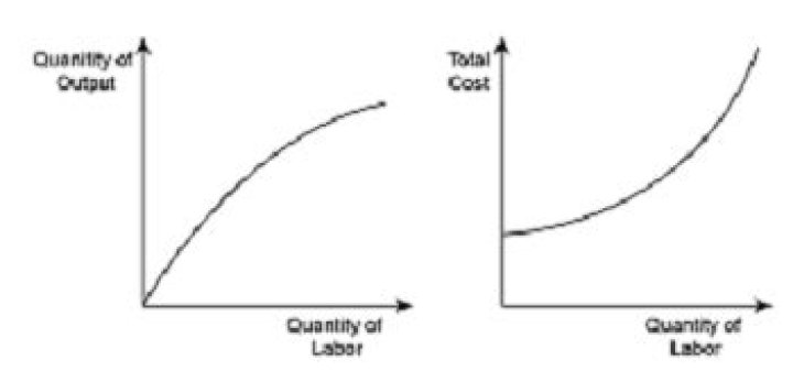 What is diminishing product of labor?