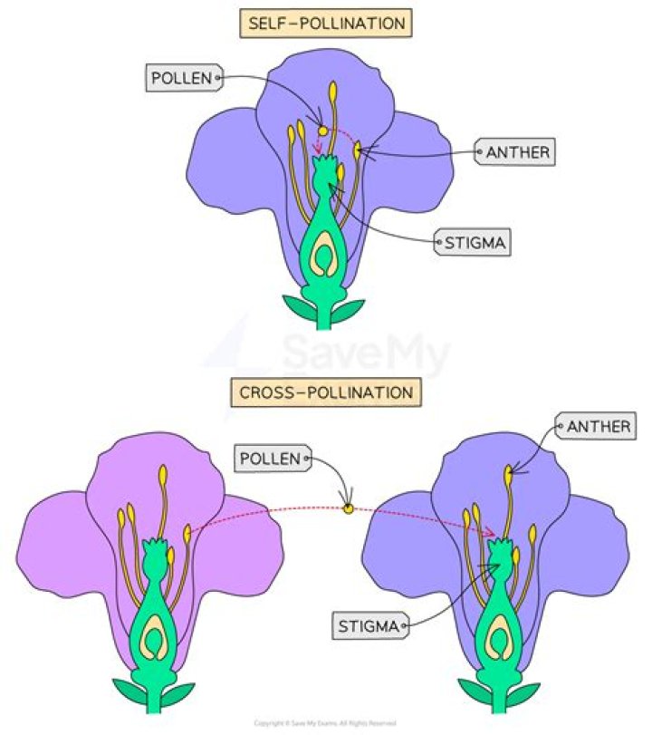 What is it called when a question is answered?