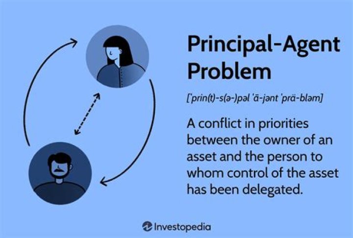 What is meant by the principal-agent problem?