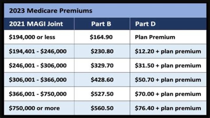 What is medical premium payment?