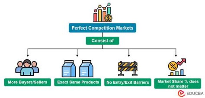 What is perfect competition in economics with examples?
