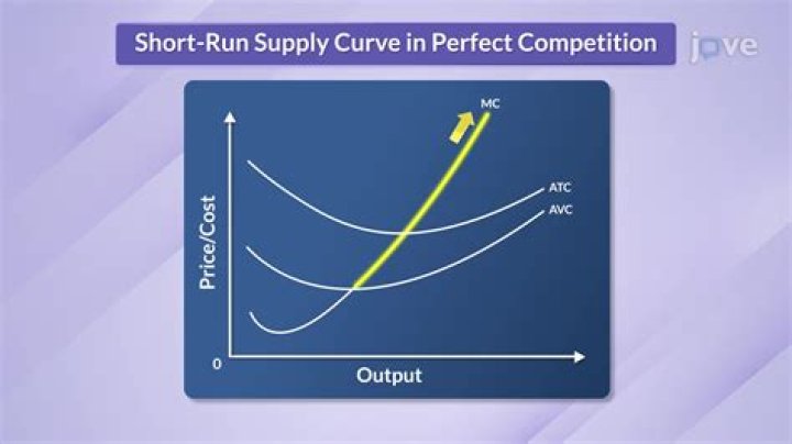 What is perfect competition in short run?