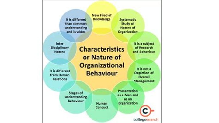 What is personality in organizational behaviour?