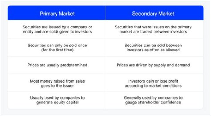 What is primary market and examples?