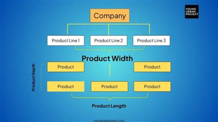 What is the best way a company can build and manage its product mix and product lines?