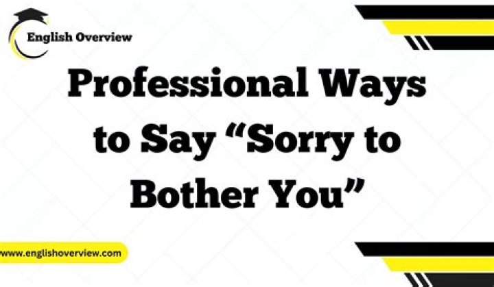 What is the correct way to say sorry?