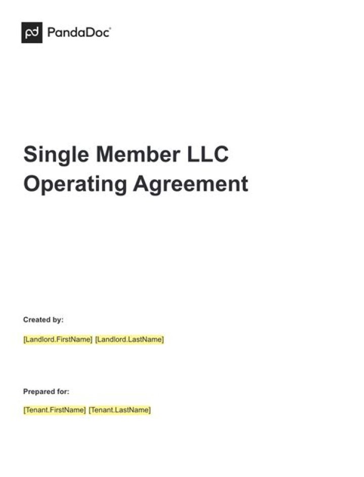 What is the definition of a single member LLC?