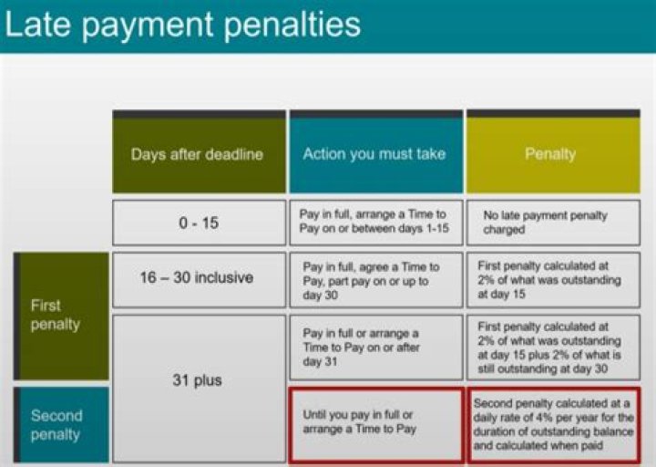 What is the interest and penalties for a IRS late payment?
