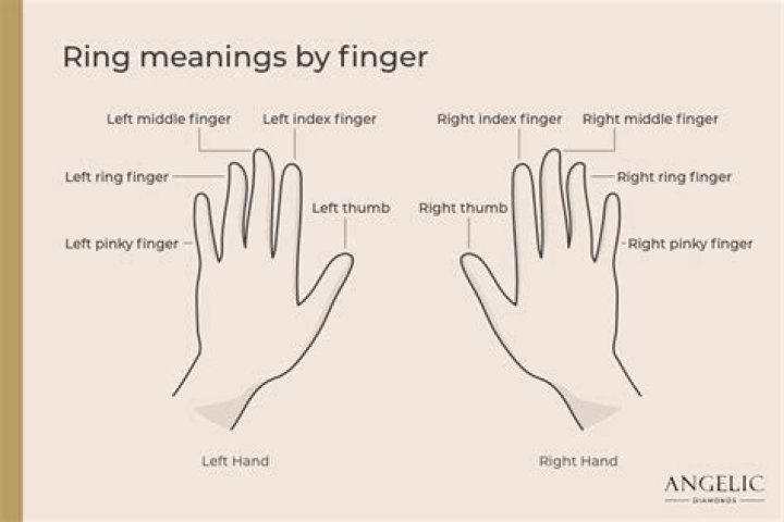 What is the meaning of I am screwed?