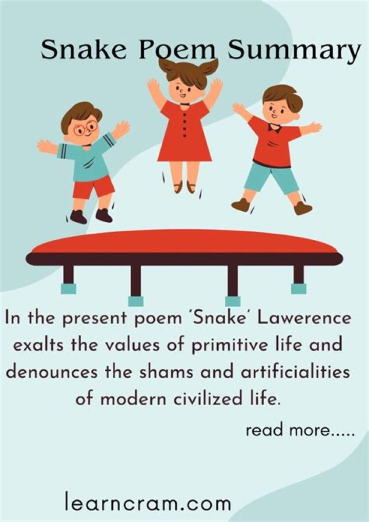 What is the message of the poem snake trying?