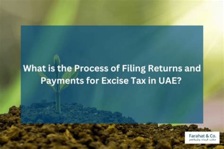 What is the process of filing returns?
