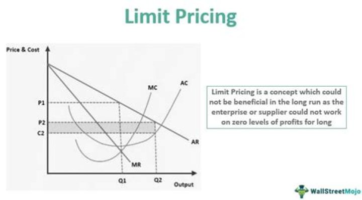 What is the purpose of limit pricing?