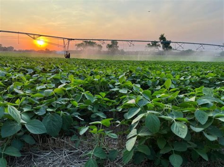 What is the tax rate for selling farmland?