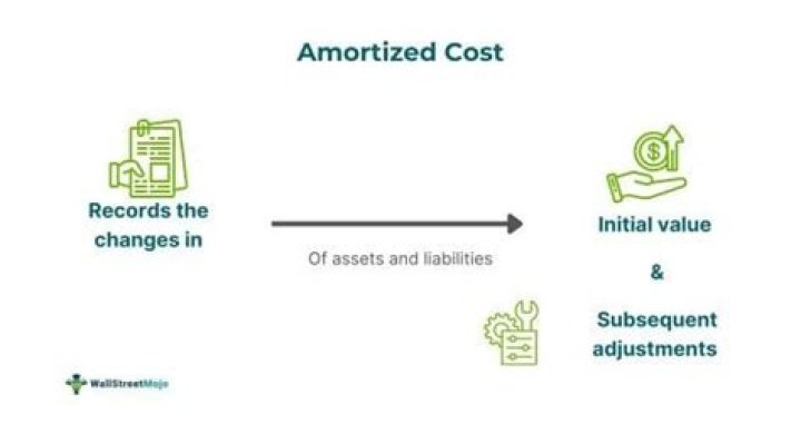 What is total amortized cost?