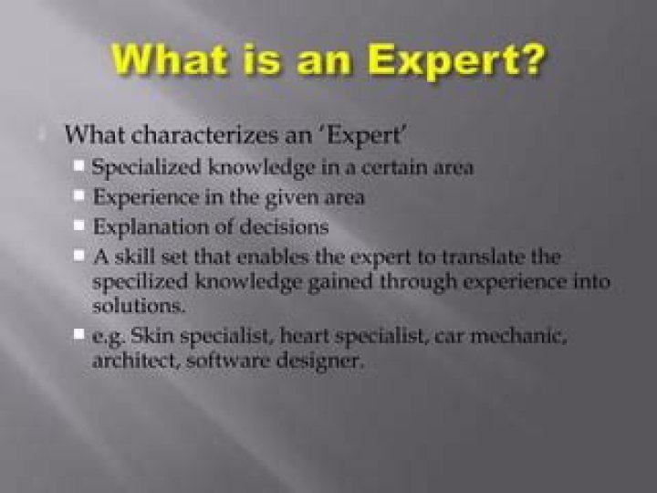 What makes an expert an expert?