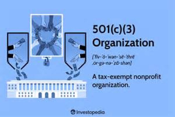 What organization type is a 501c3?