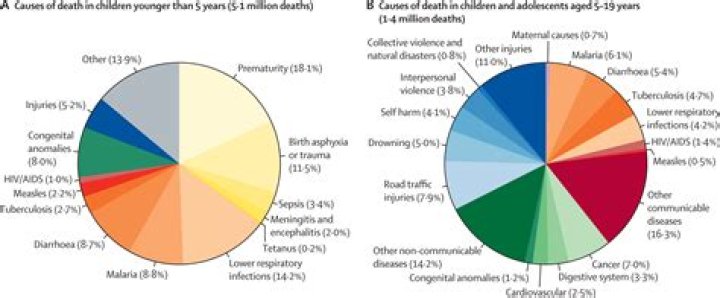 What percentage of deaths among 16 to 19 year olds is related to motor vehicles?