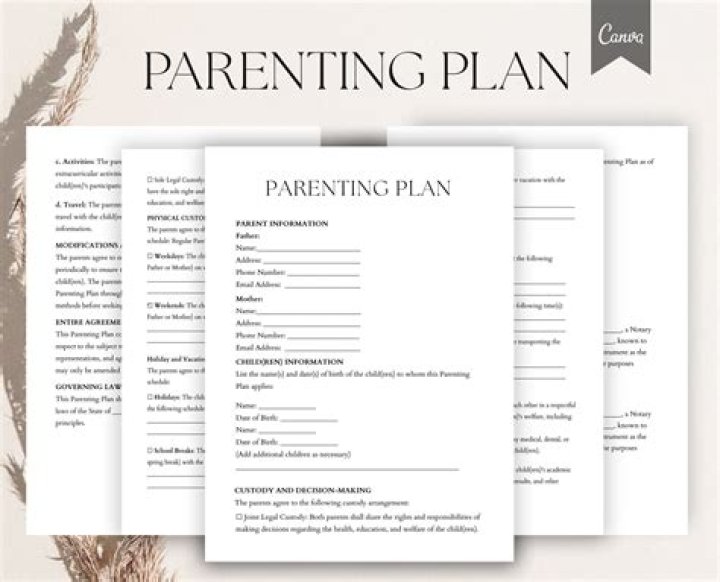 What should be included in a co parenting plan?
