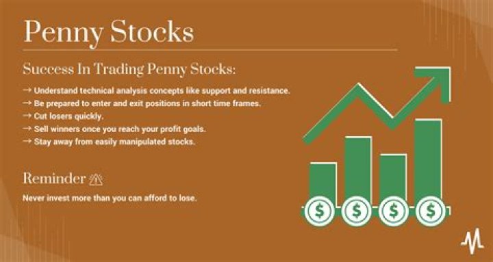 What should you evaluate when considering a penny stock?