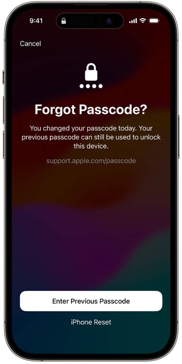 What to do if you forgot your pin and password?
