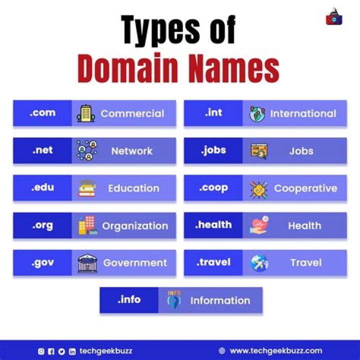 What type of expense is domain name?
