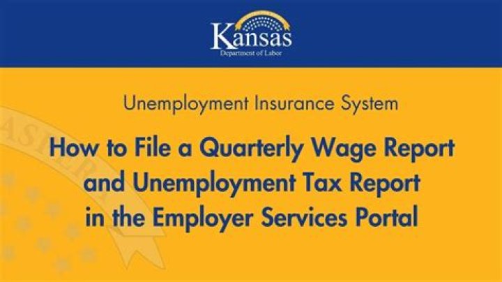 Where can I find my quarterly earnings reports?