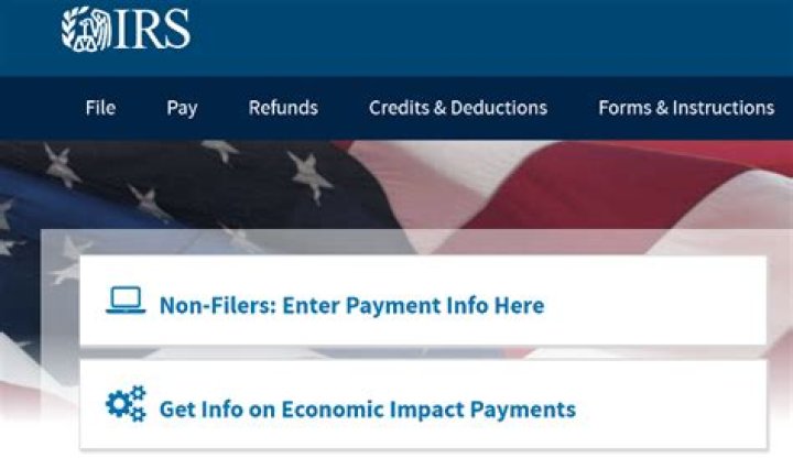 Where to enter payment info for non filers?