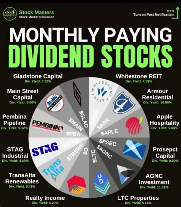 Which company will give dividend share in 2021?