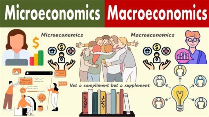 Which of the following is not part of macro?