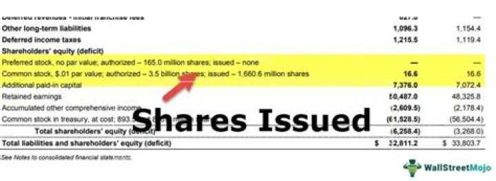 Which shares of the company are issued at free of cost?