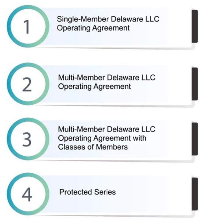 Who are the members of a Delaware LLC?