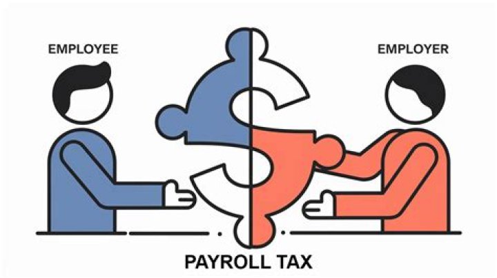 Who bears the burden of payroll taxes?