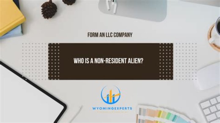 Who is a non resident alien in us?