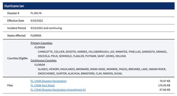 Who is not eligible for EIDL loan?